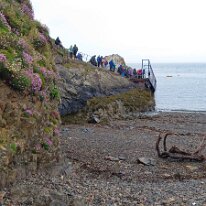 DSC_1997 On the mainland queueing for our boat to Skomer.