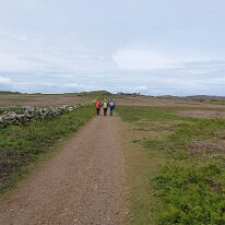 DSC_2003 Skomer Island: