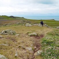DSC_2013 Skomer Island: