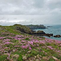 DSC_2017 Skomer Island: