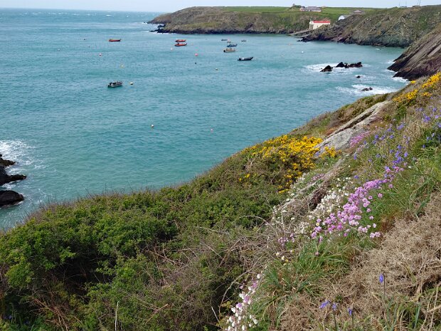 Pembrokeshire Coast